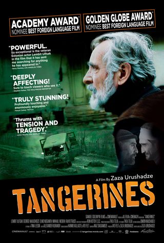 Tangerines still 8