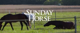 A Sunday Horse still 3