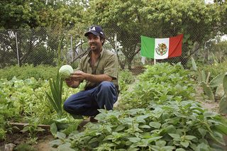 The Garden still 1