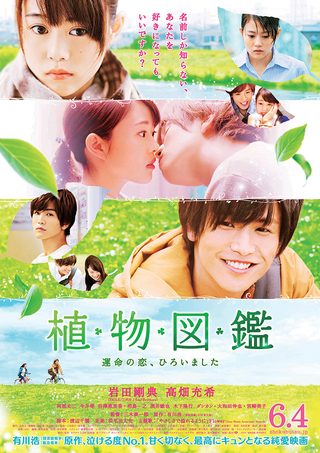 Evergreen Love still 4