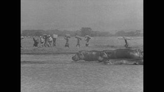 Stanley and Livingstone still 3
