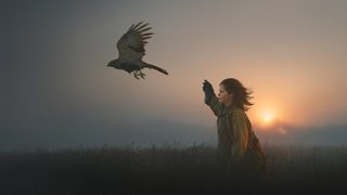 H Is for Hawk still 1