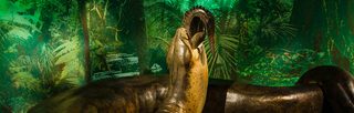 Titanoboa: Monster Snake still 4