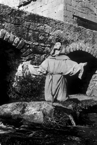 The Flowers of St. Francis still 3