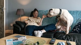 Dragonfly still 2
