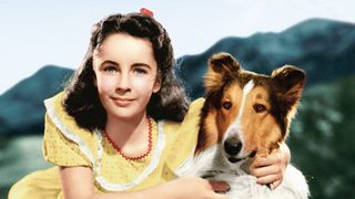 Courage of Lassie still 2