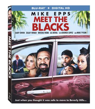 Meet the Blacks still 2