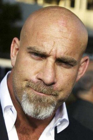 Bill Goldberg, photo 3 of 3