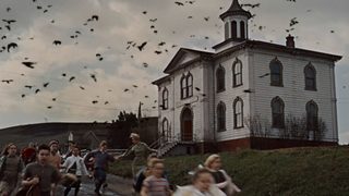 The Birds still 1