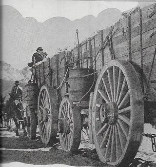 20 Mule Team still 7
