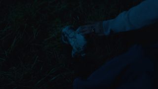 The Sheep Detectives still 7