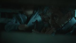 Rosario still 8