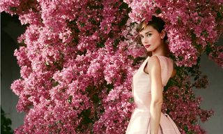 Audrey still 7