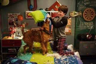 Firehouse Dog still 2