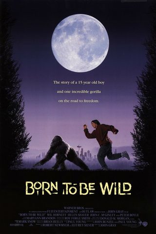 Born to Be Wild still 3