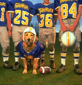 Air Bud: Golden Receiver still 6