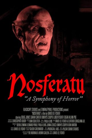 Nosferatu: A Symphony of Horror still 6