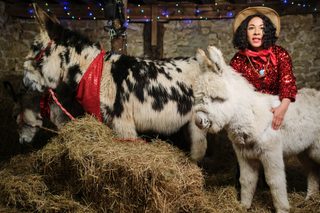Christmas on Mistletoe Farm still 4