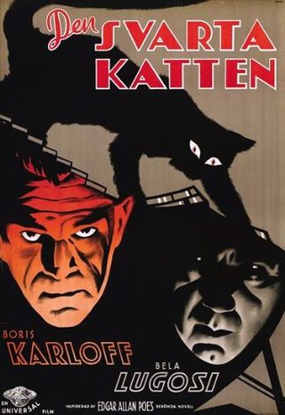 The Black Cat still 7