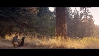 Ride the Eagle still 2