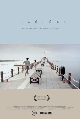 Cigüeñas still 6