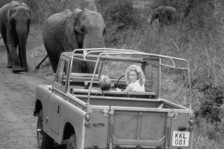 I Dreamed of Africa still 4