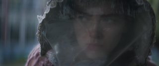 Glasshouse still 8