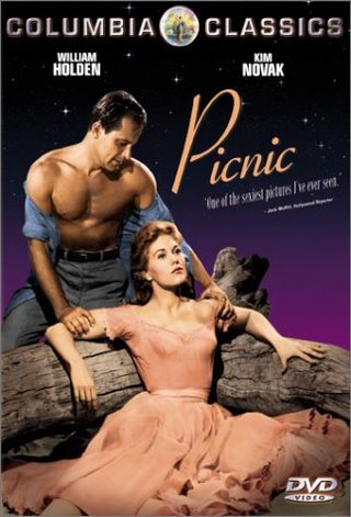 Picnic still 8