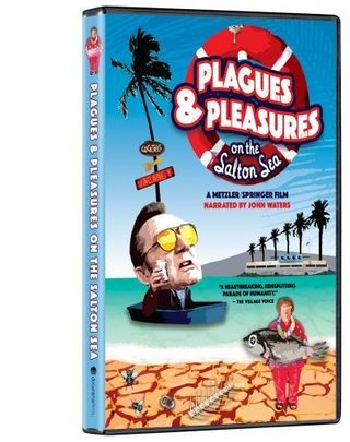 Plagues and Pleasures on the Salton Sea still 2