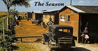 The Season still 5