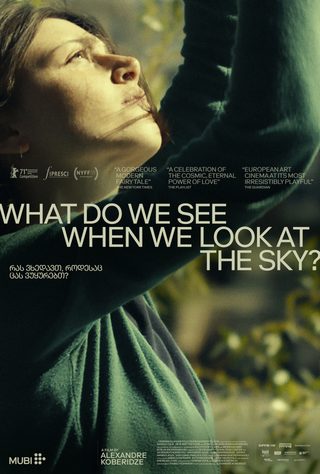What Do We See When We Look at the Sky? still 2