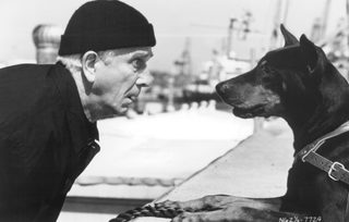 The Naked Gun 2½: The Smell of Fear still 8