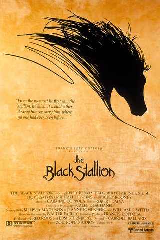 The Black Stallion still 7