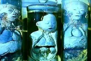 Laboratory of the Devil still 3