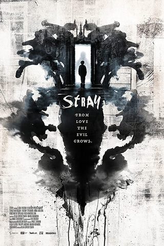 Stray still 1