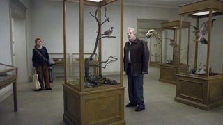 A Pigeon Sat on a Branch Reflecting on Existence still 2