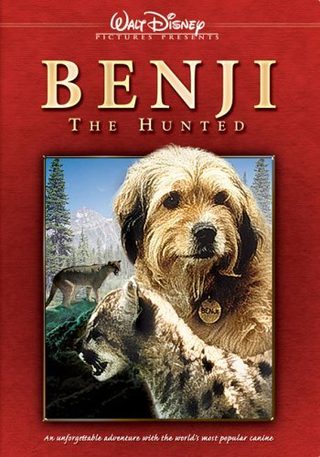 Benji the Hunted still 6
