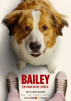 A Dog's Journey still 1