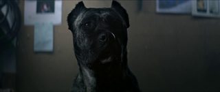 Bullet Head still 2