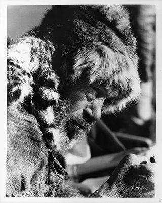 The Life and Times of Judge Roy Bean still 2
