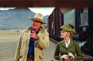 The Train Robbers still 1