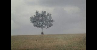 Landscape in the Mist still 6