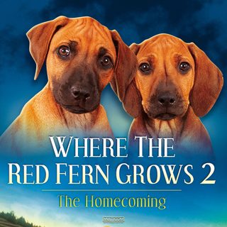 Where The Red Fern Grows Part 2 still 1