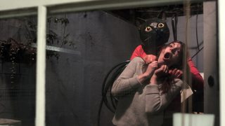 Cat Sick Blues still 5