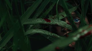 In the Tall Grass still 7