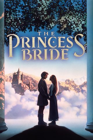 The Princess Bride still 2