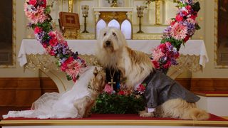 Puppy Star Christmas still 1