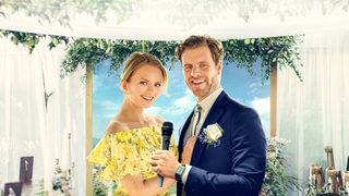 The Wedding Fix still 4