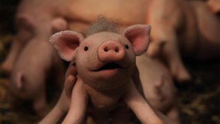 Oink still 5