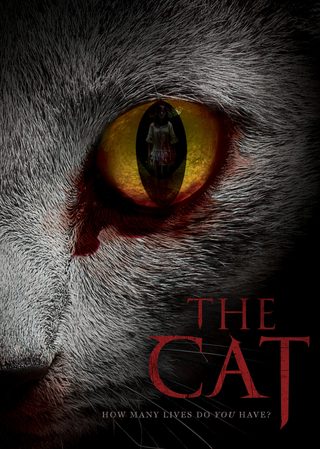 The Cat still 7